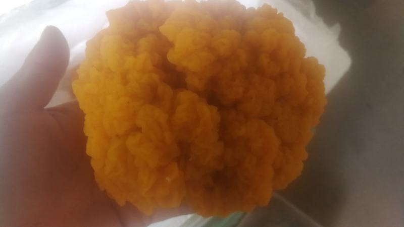 精品金耳人工种植质量保证货源稳定可长期合作