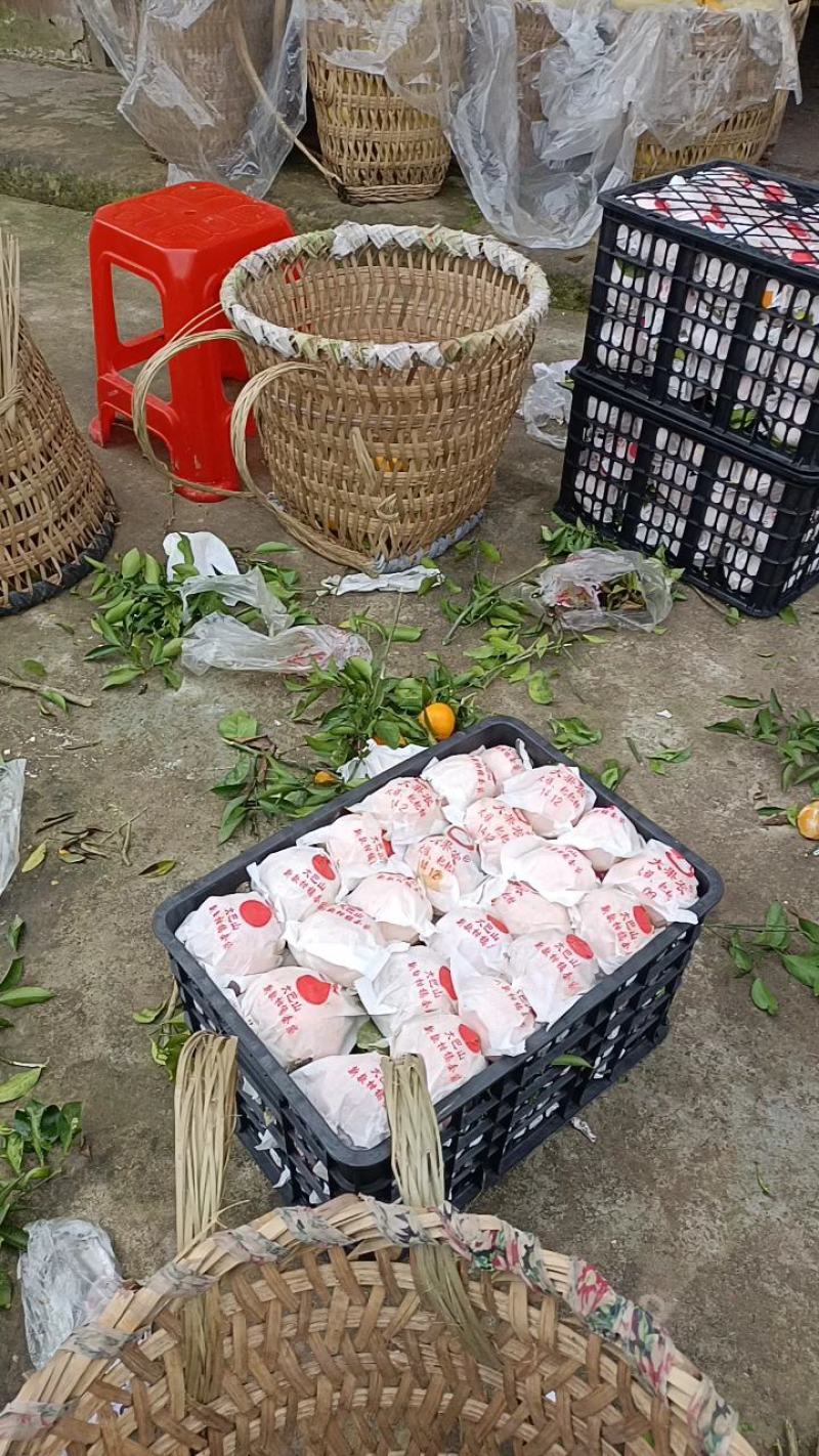 耙耙柑，细皮，无籽！果面干净，口感纯甜！