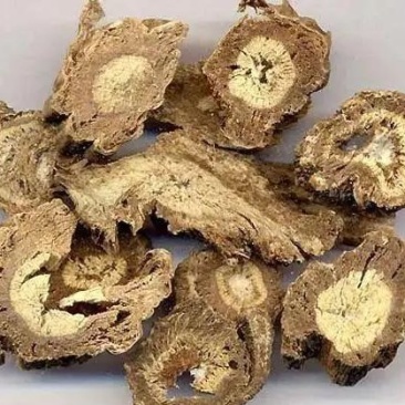独活，干独活，新鲜独活，药材地道。独活质量有保障。