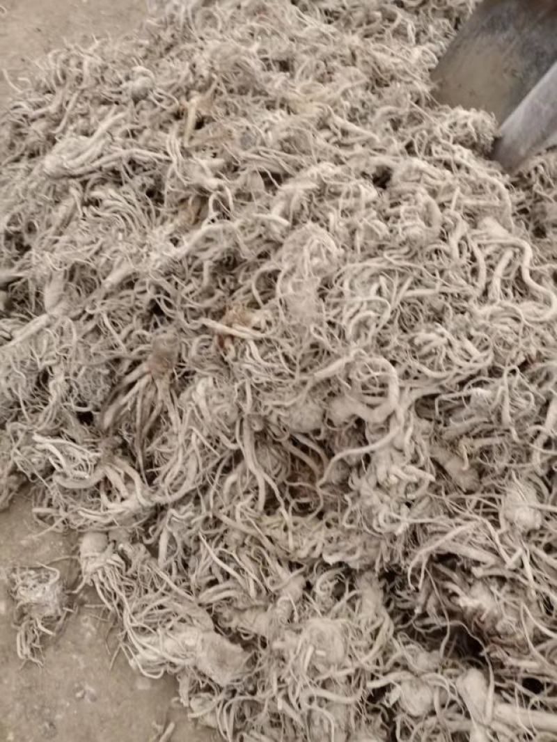 独活，干独活，新鲜独活，药材地道。独活质量有保障。