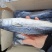 燕尾鲅鱼船冻及时4两到3斤都有一手货源厂家直供可视频看货