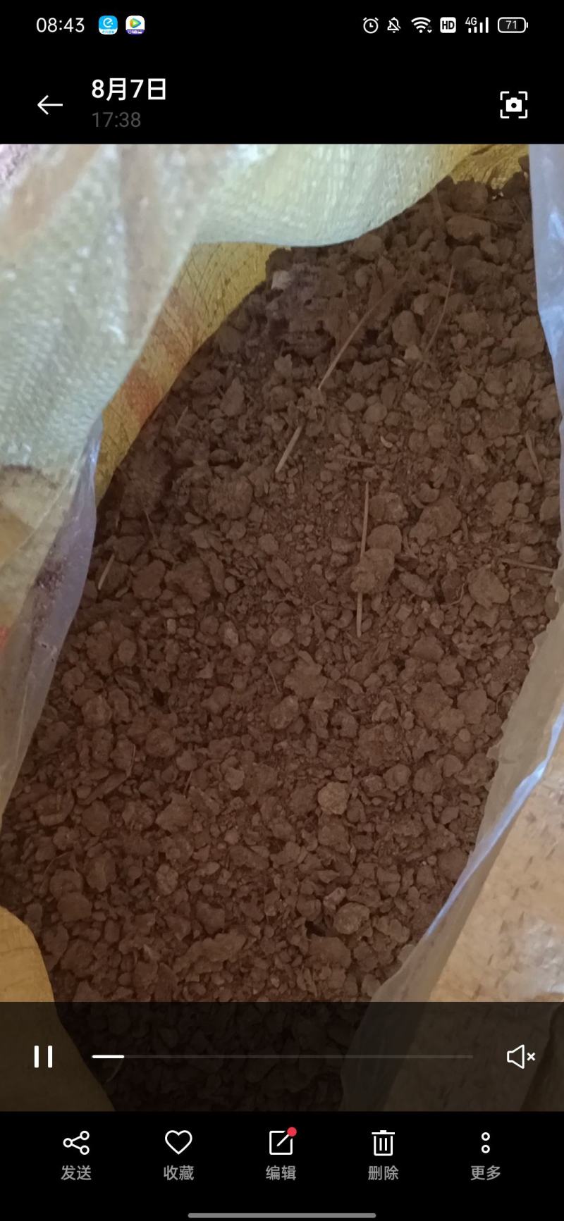 鸡粪