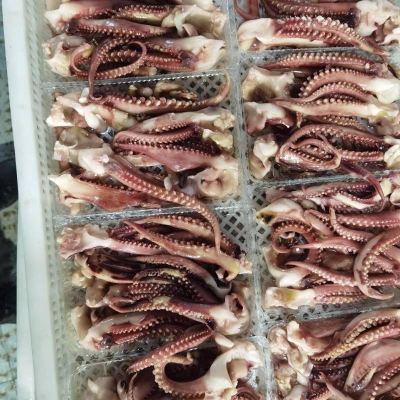 电商款脆口须鱿鱼须质量好货源充足适合饭店用
