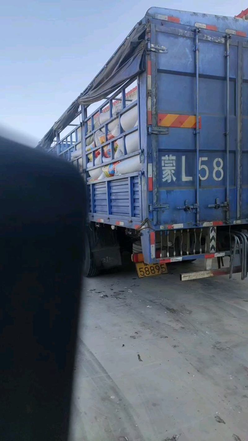 同庆五号内蒙大瓜子巴彦淖尔葵花籽黄河水浇灌产地直发，