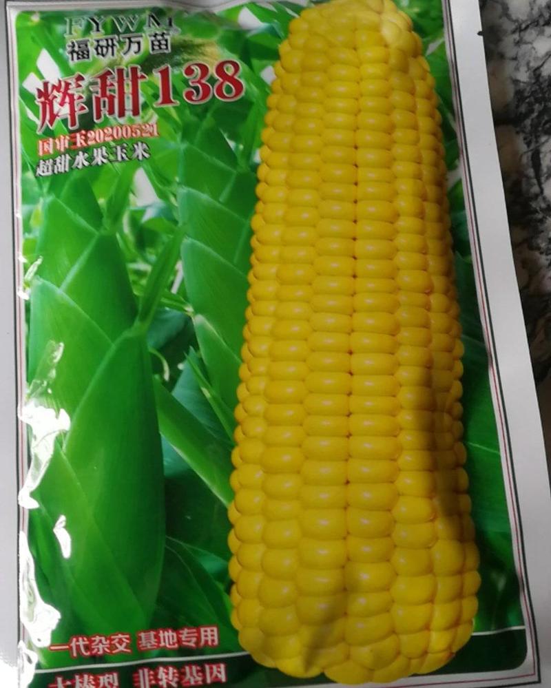 辉甜138玉米种，杂交，大棒型，超甜水果玉米。