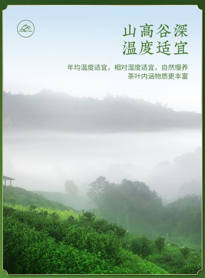 毛尖新茶特级明前绿茶高香耐泡茶农包邮