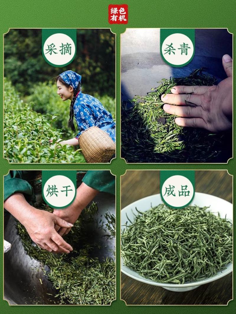 毛尖新茶特级明前绿茶高香耐泡茶农包邮