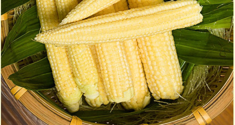 甜玉米笋新鲜水果嫩玉米芯蔬菜玉米棒仔粒罗汉笋粗粮批发包邮