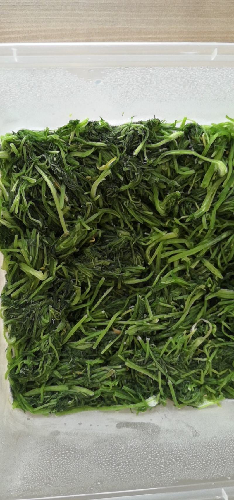 茴香新鲜嫩茴香包饺子必备冷冻茴香茴香苗茴香菜茴香鲜菜
