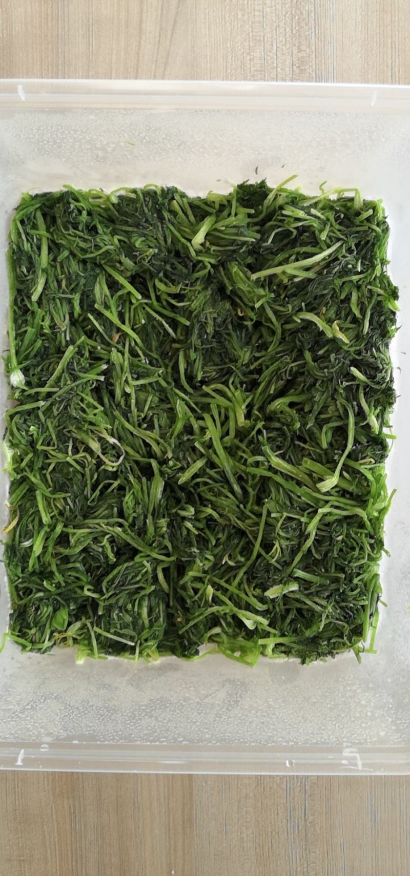 茴香鲜嫩茴香菜茴香苗速冻蔬果速冻茴香包饺子馅冷冻茴香