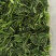 茴香鲜嫩茴香菜茴香苗速冻蔬果速冻茴香包饺子馅冷冻茴香