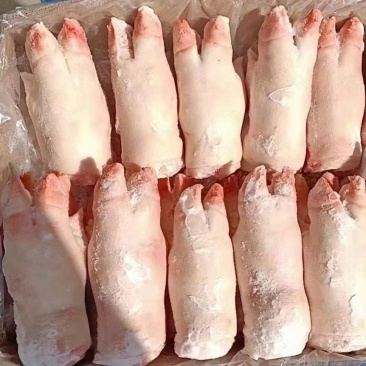 精品猪蹄20-23，寸手质量保障现货秒发量大优惠
