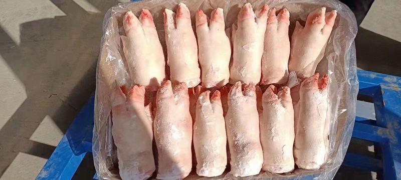 精品猪蹄20-23，寸手质量保障现货秒发量大优惠