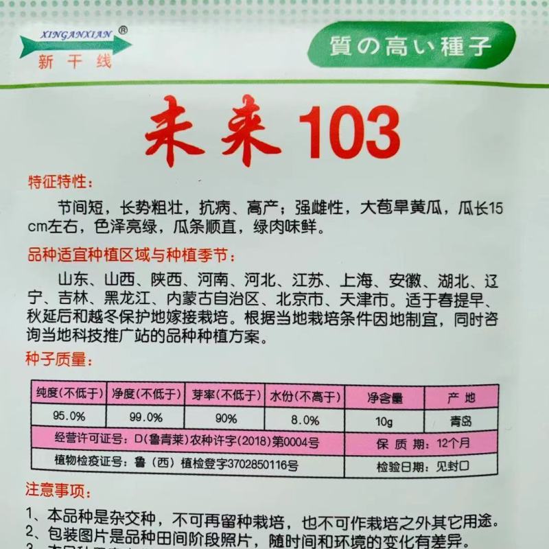 强雌大苞旱黄瓜种子未来103黄瓜种子油亮型黄瓜种籽耐寒