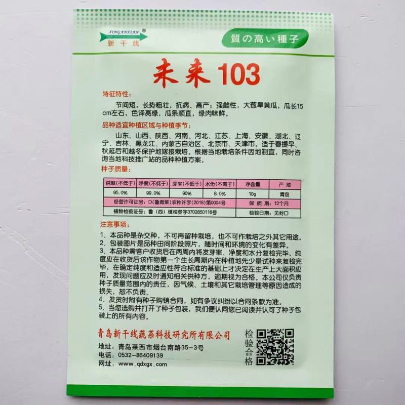 强雌大苞旱黄瓜种子未来103黄瓜种子油亮型黄瓜种籽耐寒