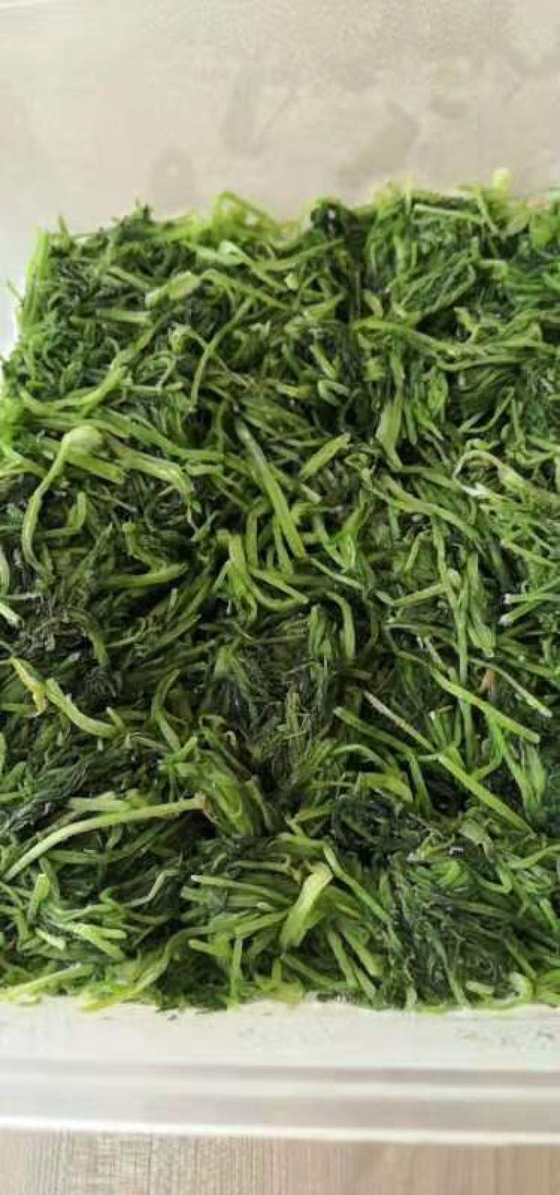 茴香新鲜嫩茴香包饺子必备冷冻茴香