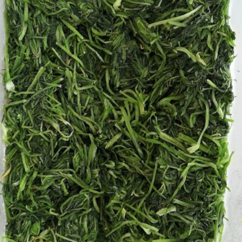 茴香鲜嫩茴香做的冷冻茴香