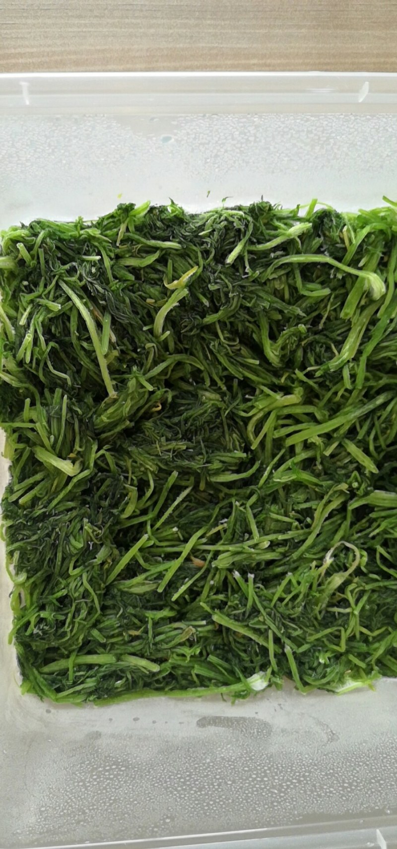 茴香鲜嫩茴香做的冷冻茴香
