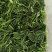 茴香鲜嫩茴香做的冷冻茴香