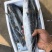 马鲛鱼新鲜单冻马鲛鱼新鲜速冻海捕马鲛鱼
