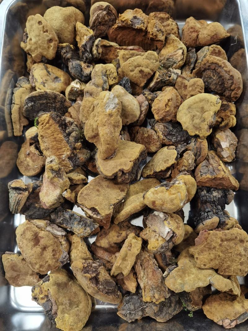 西藏野生紫油黄天然野生紫油黄一手货源质量保证一公斤起包邮