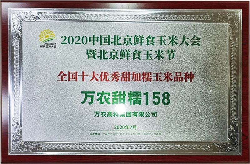 万农甜糯白甜加糯玉米种子矮杆特糯甜鲜食玉米种子特大棒