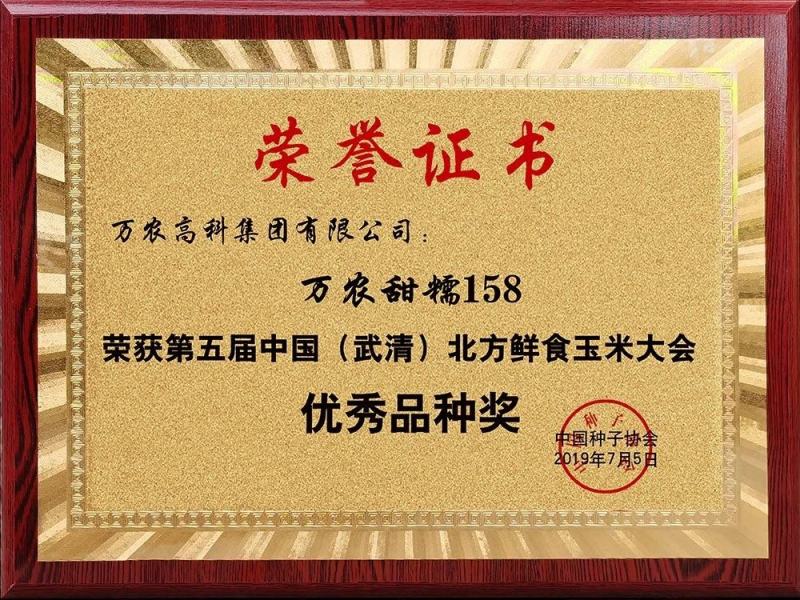 万农甜糯白甜加糯玉米种子矮杆特糯甜鲜食玉米种子特大棒