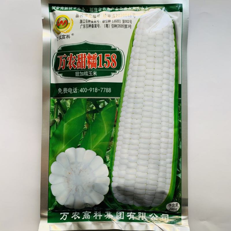万农甜糯白甜加糯玉米种子矮杆特糯甜鲜食玉米种子特大棒
