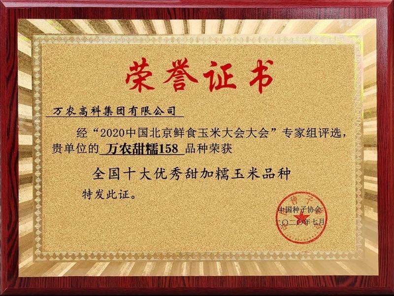 万农甜糯白甜加糯玉米种子矮杆特糯甜鲜食玉米种子特大棒