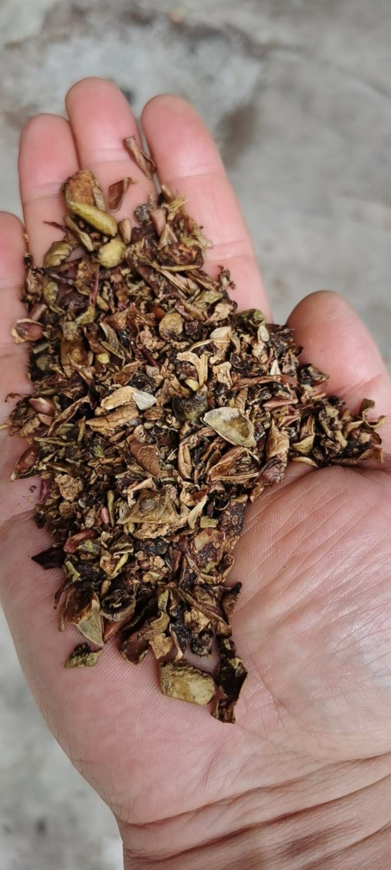 烘干苹果渣，过筛，无脱胶，含膳食纤维