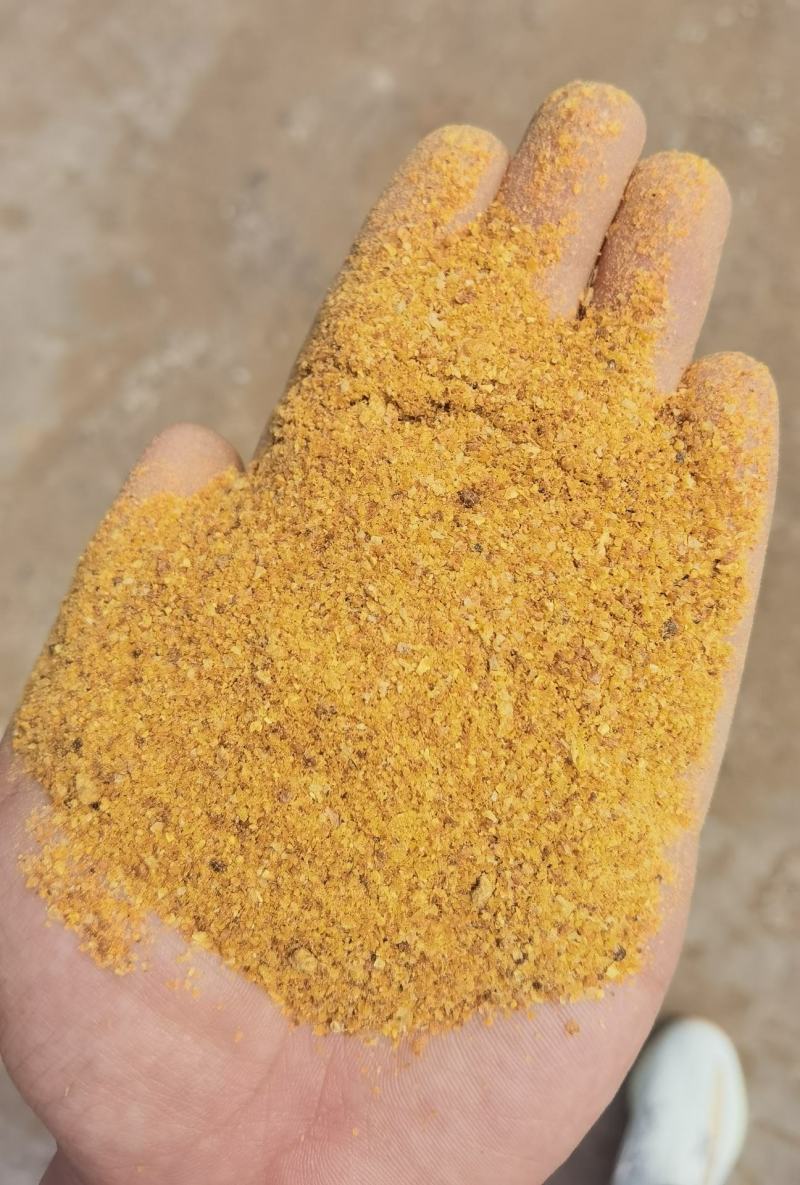喷浆玉米皮，玉米酒糟，蛋白18-26，东北大厂