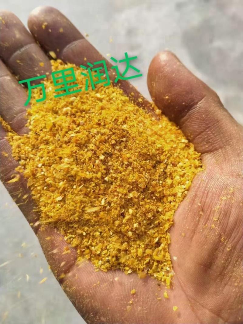 喷浆玉米皮，玉米酒糟，蛋白18-26，东北大厂