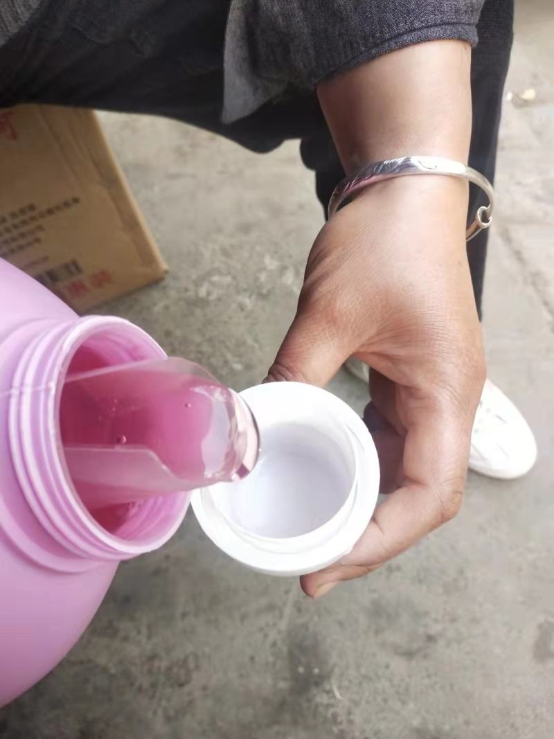 洗衣液蓝荷高浓度抑菌洗衣液深层去污渍不复吸