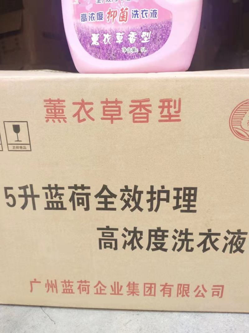 洗衣液蓝荷高浓度抑菌洗衣液深层去污渍不复吸