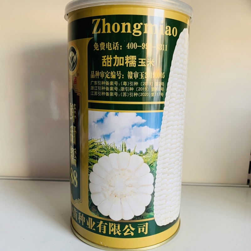 大棒又甜又糯甜加糯玉米种子高产鲜甜糯88基地专用玉米种