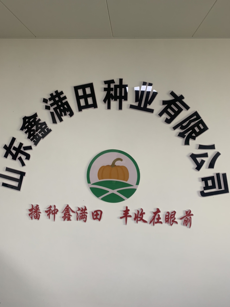 厂家直发新品种贝贝南瓜板栗南瓜银栗惠和种子包邮蔬菜种子