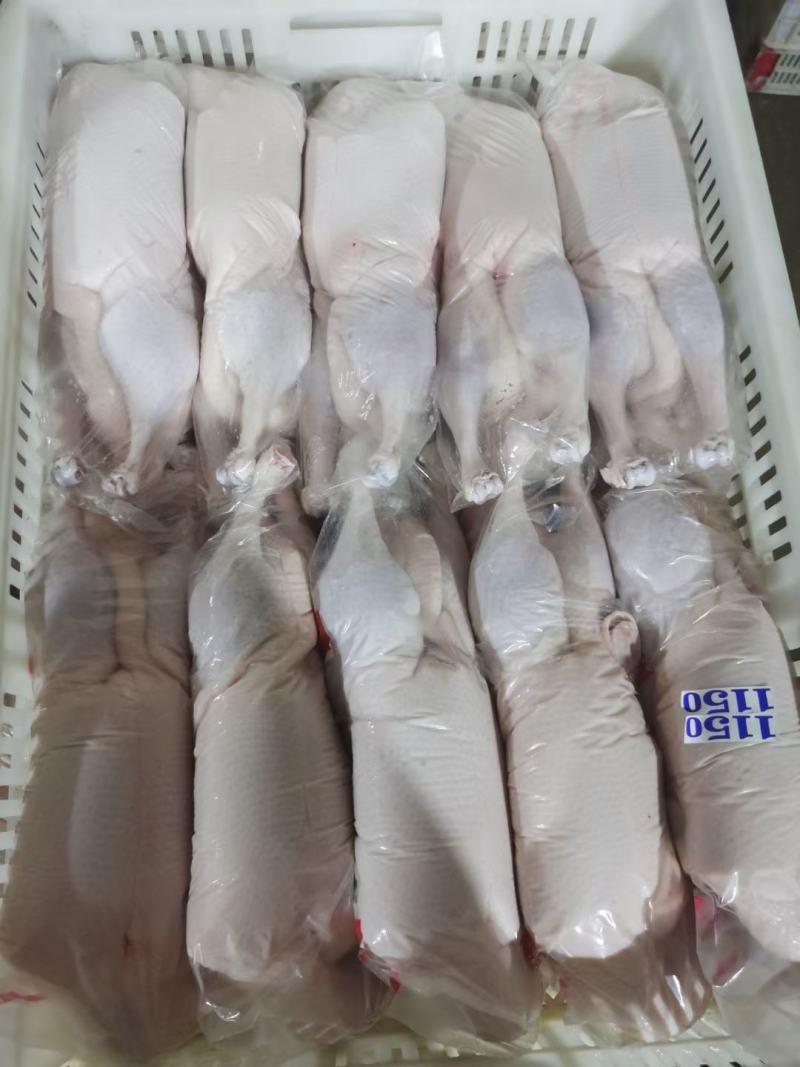 厂家直销一级二级樱桃谷瘦肉型白条鸭