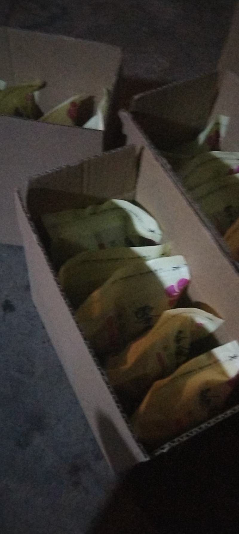 金牌柿饼广西桂林平乐沙子镇产地直供，圆饼柿饼