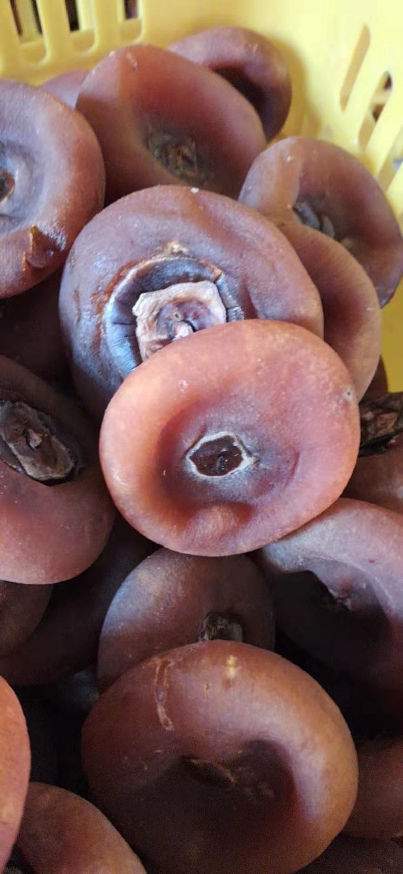 金牌柿饼广西桂林平乐沙子镇产地直供，圆饼柿饼