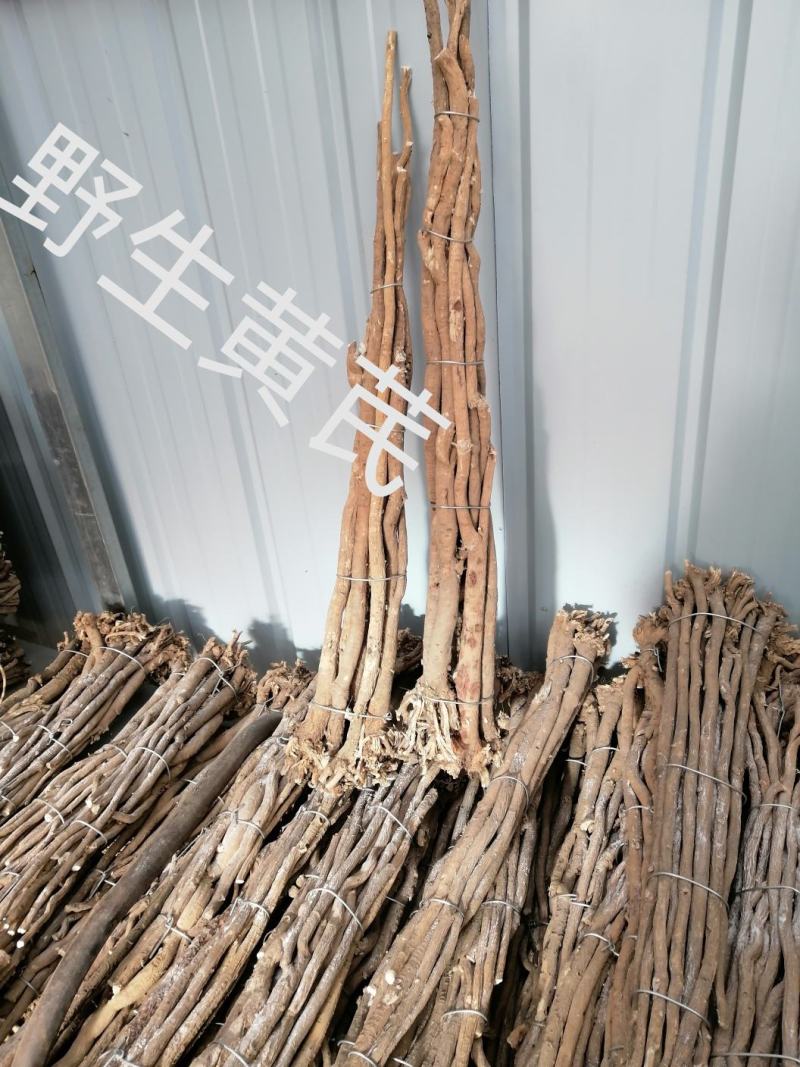 地产岷县野生红芪，欢迎各界朋友前来选购。