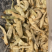 大量供应白辣椒。50斤一袋。