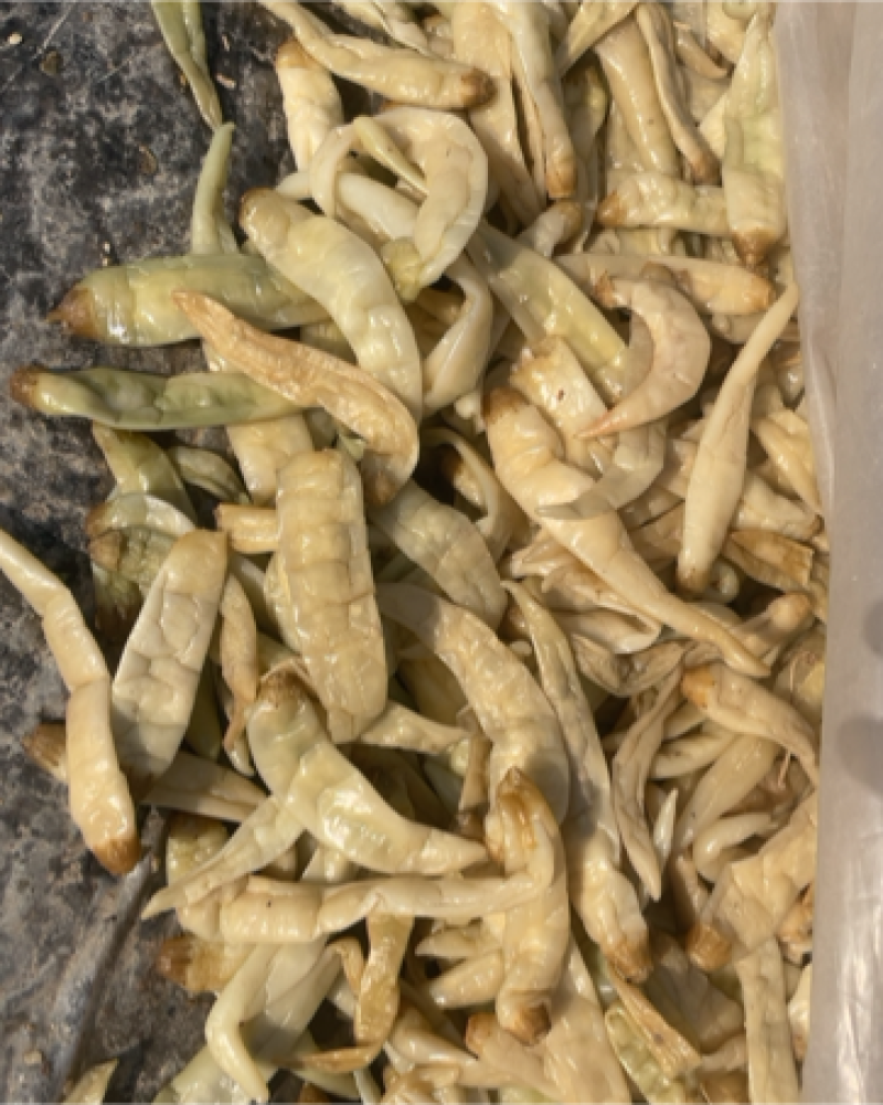 大量供应白辣椒。50斤一袋。