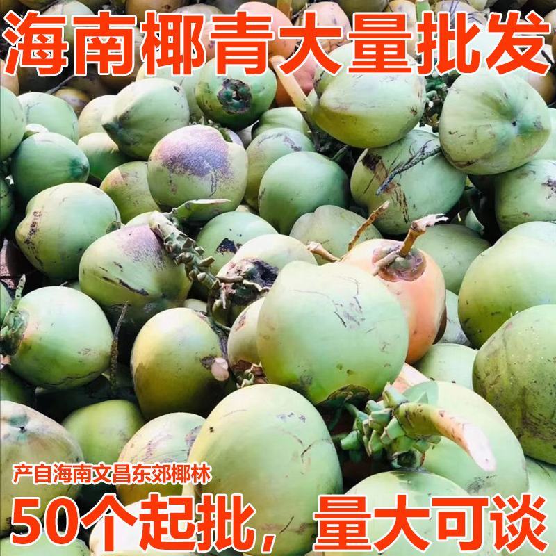 琼海市椰子