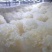 绣球菌特殊菌类有1公斤150克公司种植