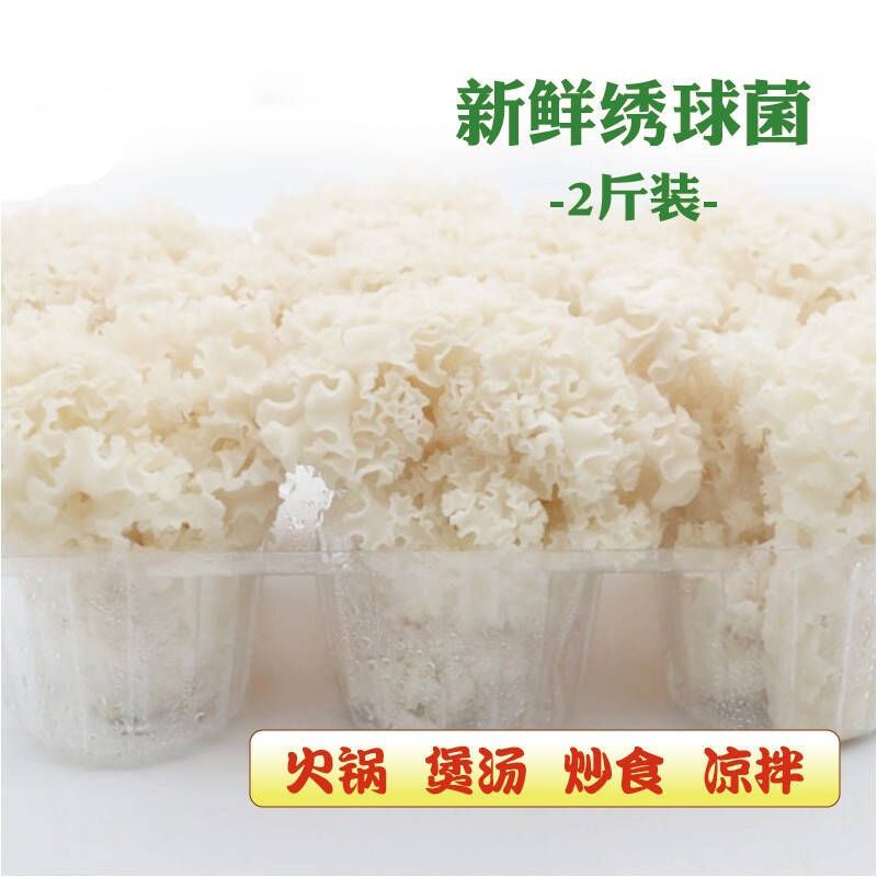 绣球菌特殊菌类有1公斤150克公司种植