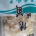 绣球菌特殊菌类有1公斤150克公司种植