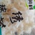 绣球菌特殊菌类有1公斤150克公司种植