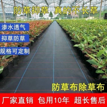防草布厂家直销地布除草布盖草抑草地膜透气保湿可降解果树果