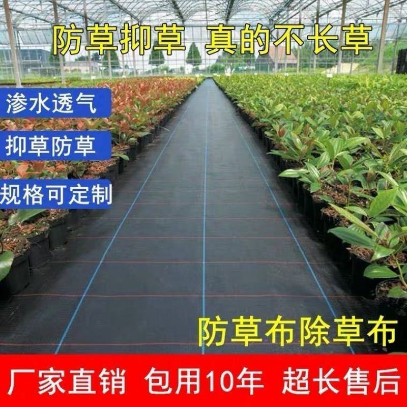防草布厂家直销地布除草布盖草抑草地膜透气保湿可降解果树果