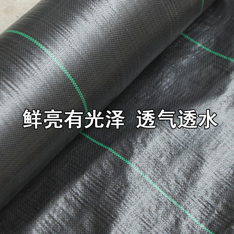 防草布厂家直销地布除草布盖草抑草地膜透气保湿可降解果树果